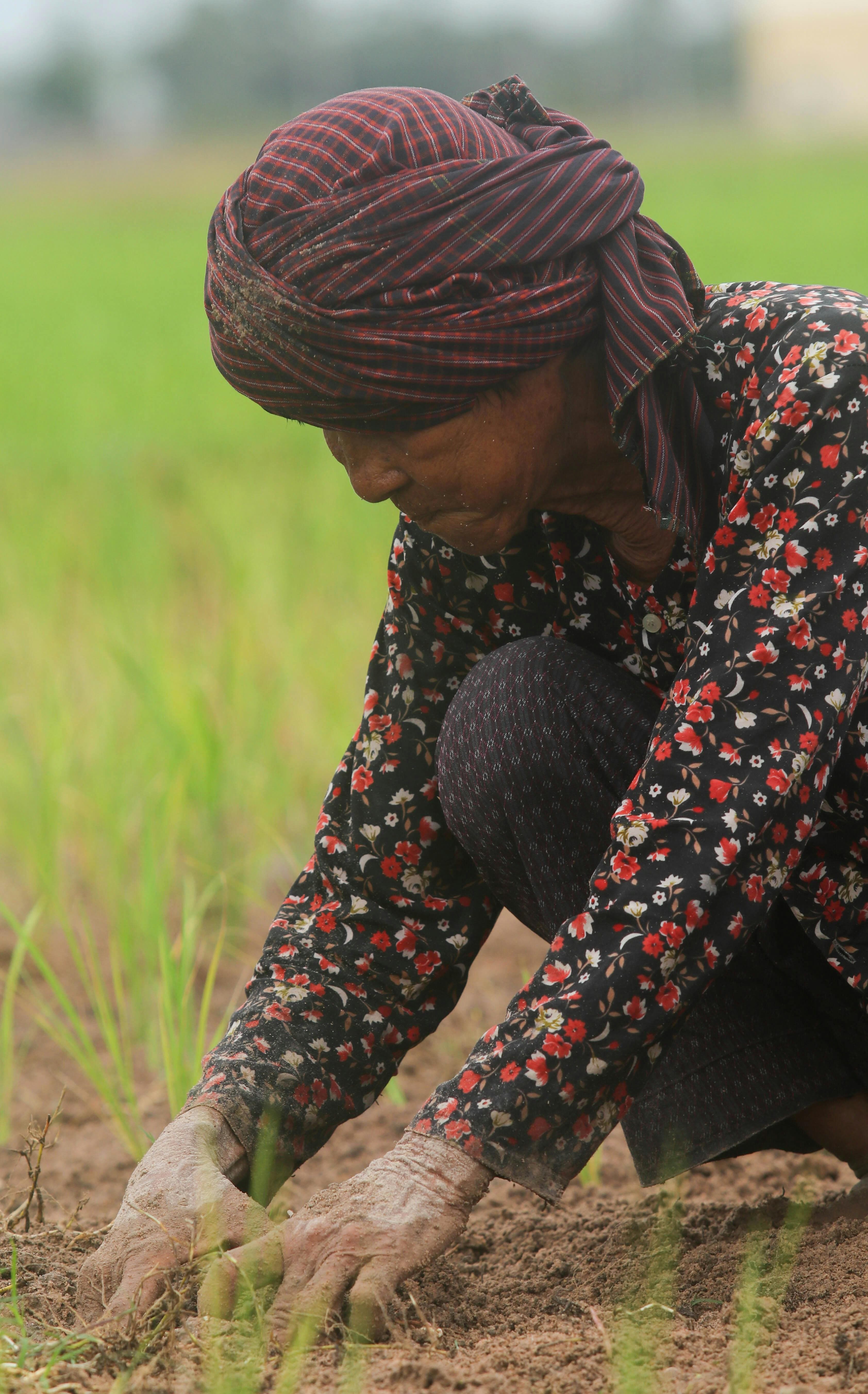 Farmer in field
